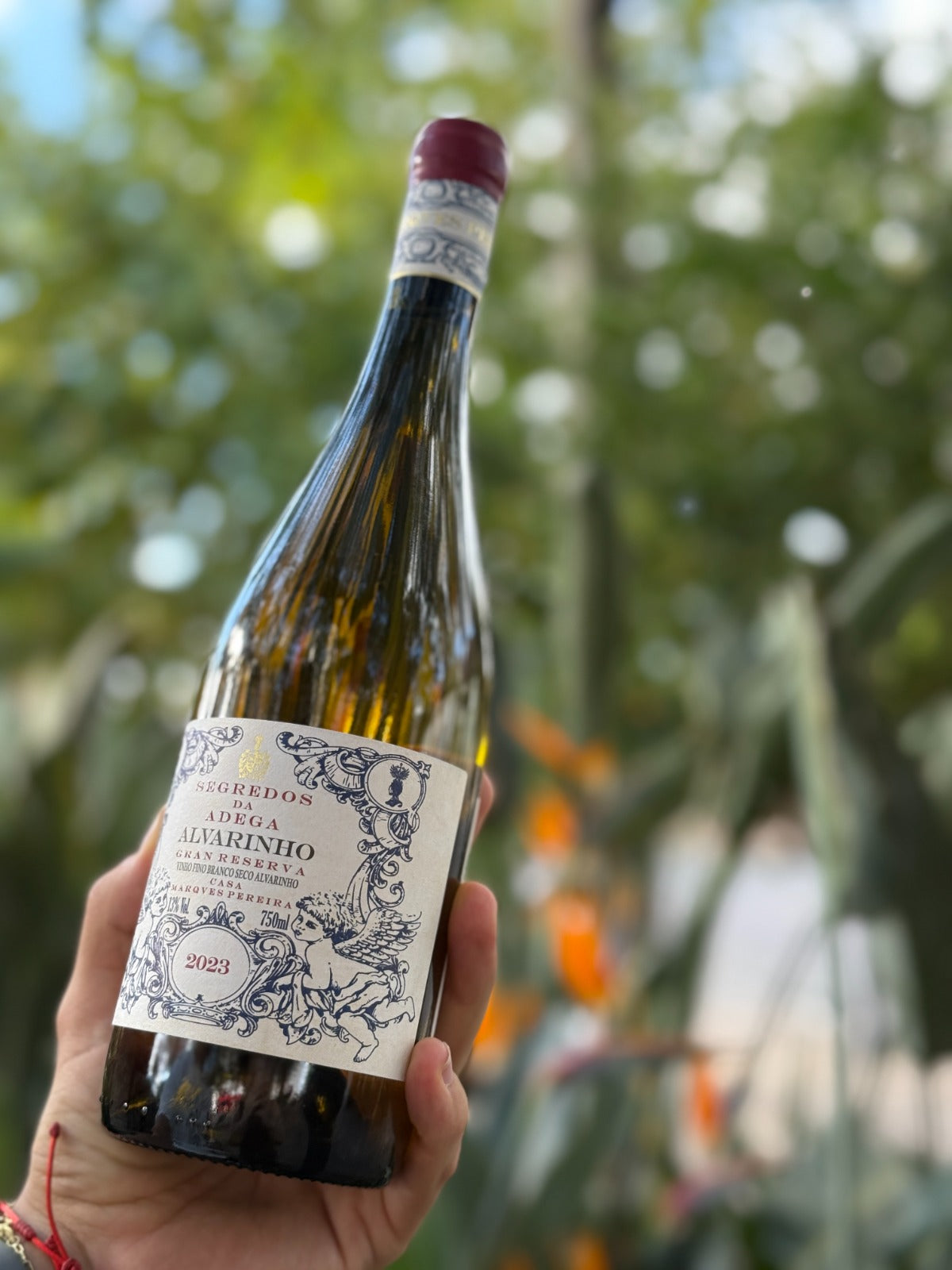 Secrets of the Alvarinho Winery - 2023 Vintage