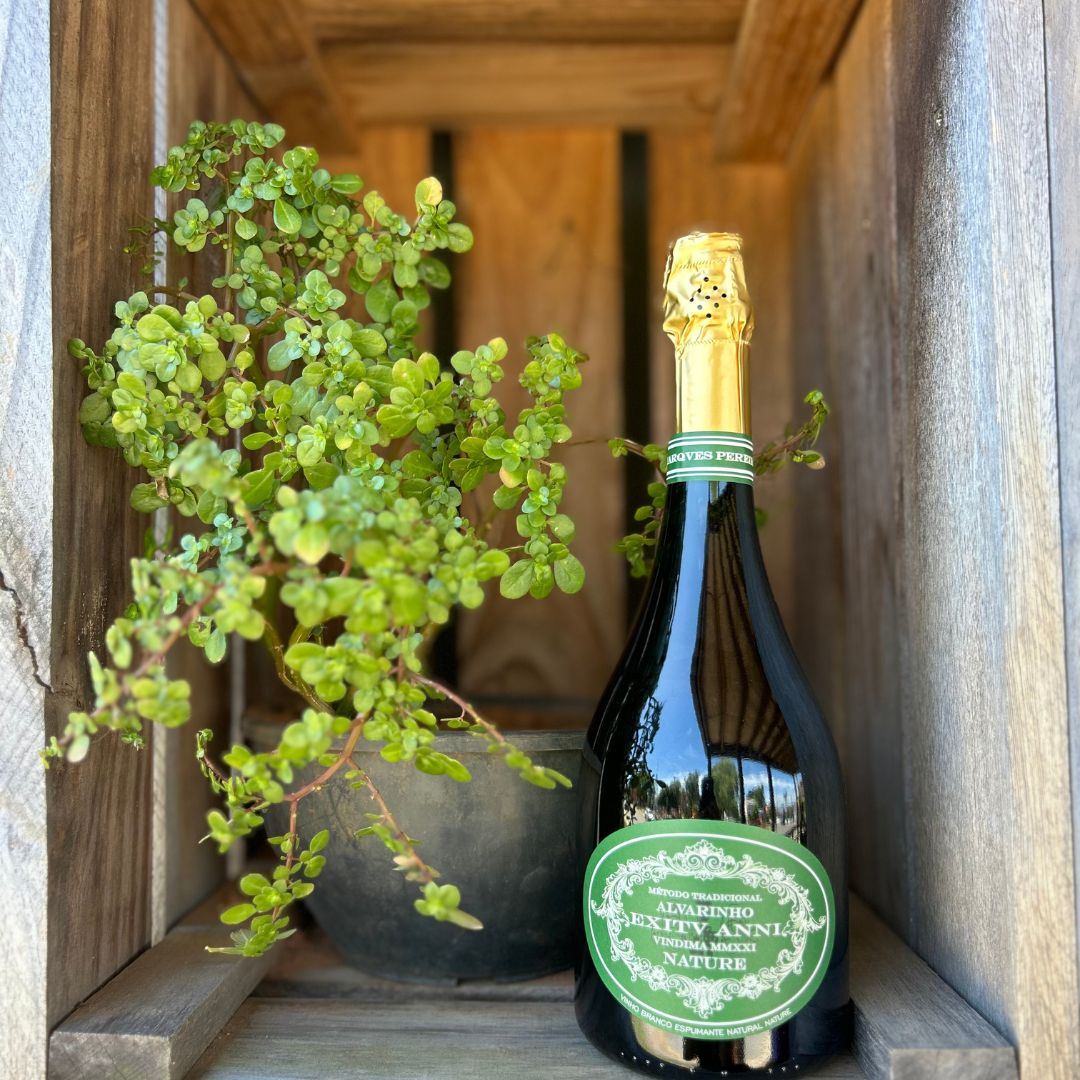 Espumante Casa Marques Pereira - Exitv Anni Nature Alvarinho 2021 - Black November 15%OFF