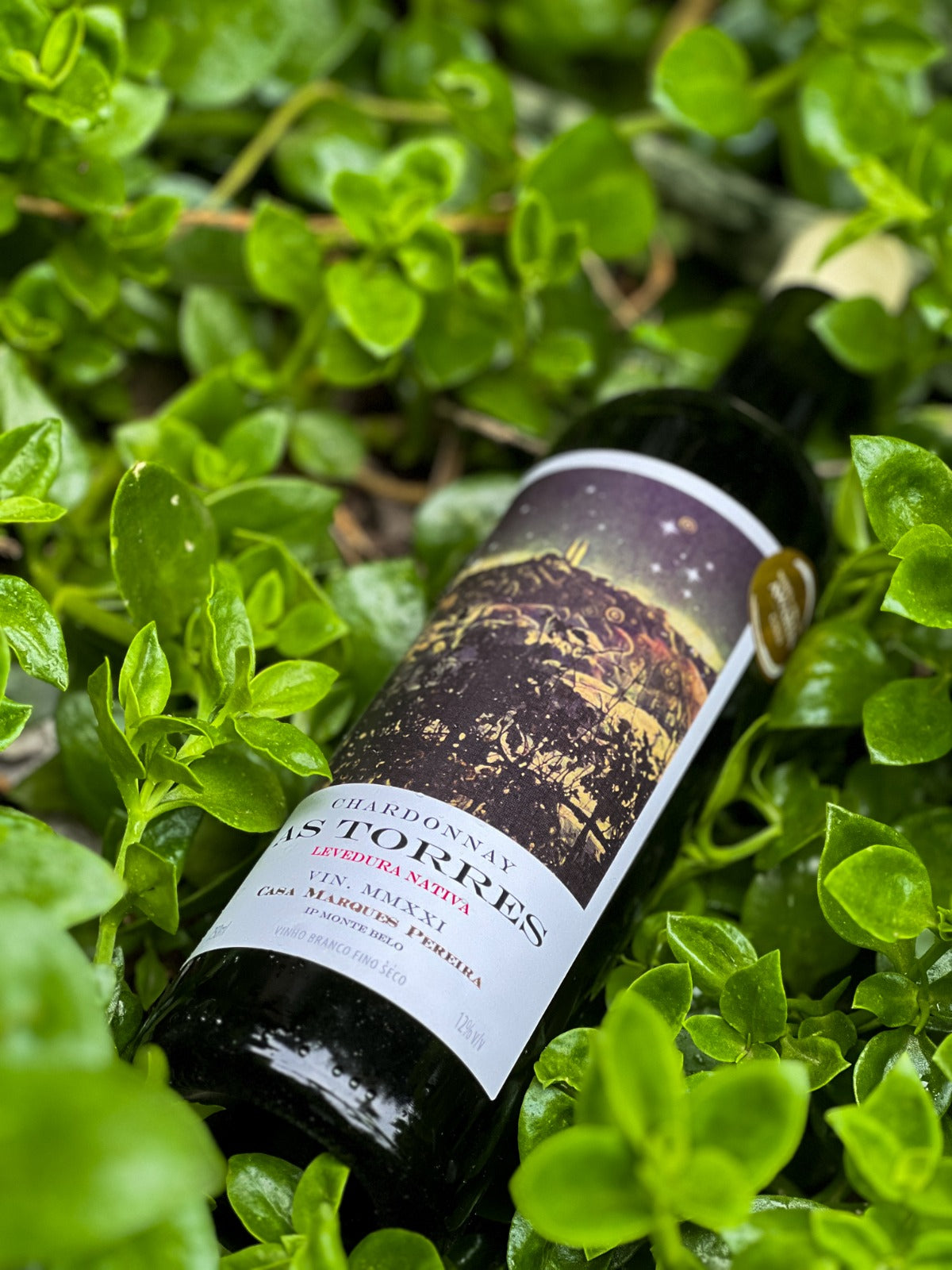 As Torres Chardonnay - Safra 2023