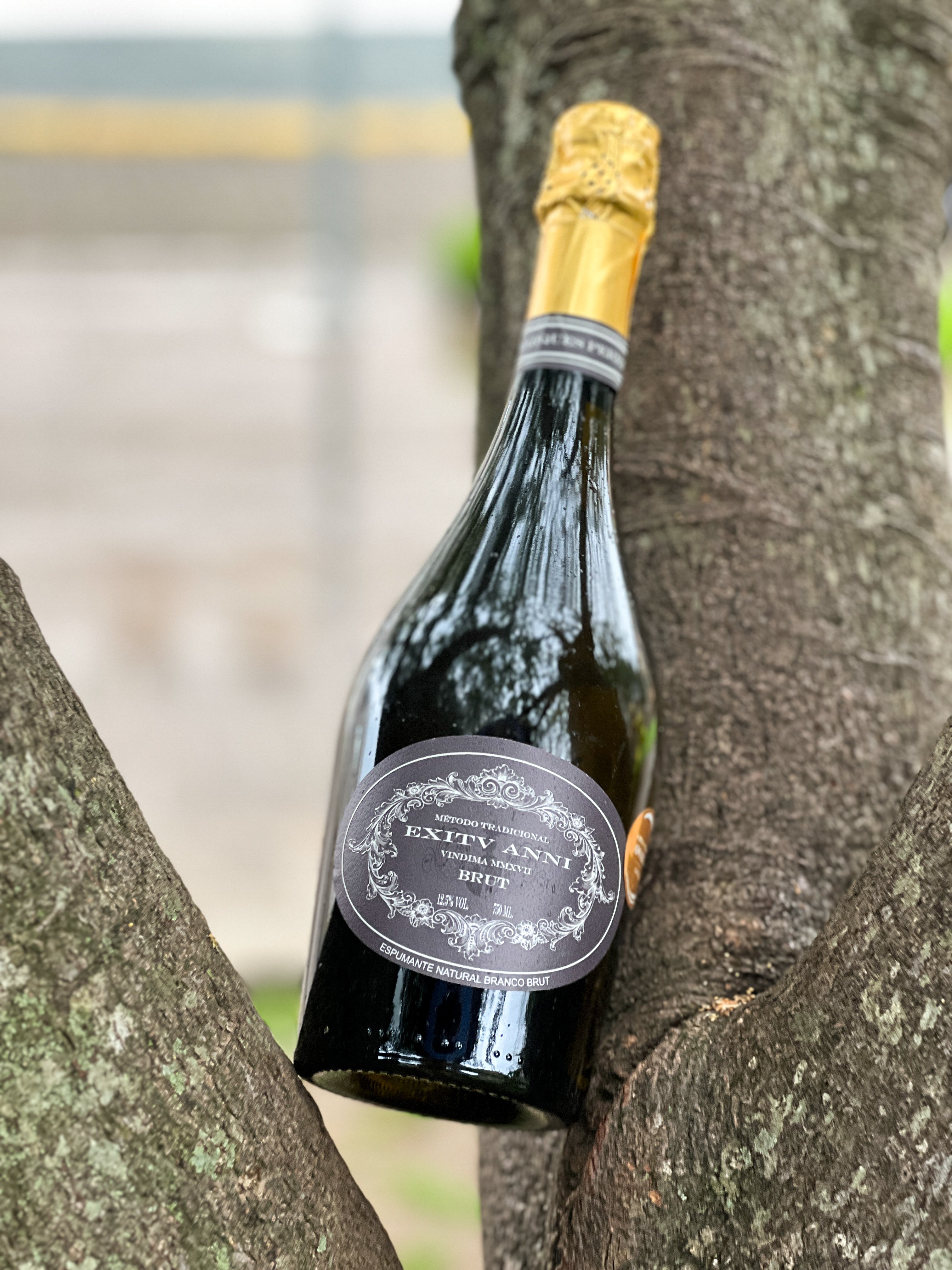 Espumante Casa Marques Pereira Exitv Anni Brut - Safra 2017 - Black November 15%OFF