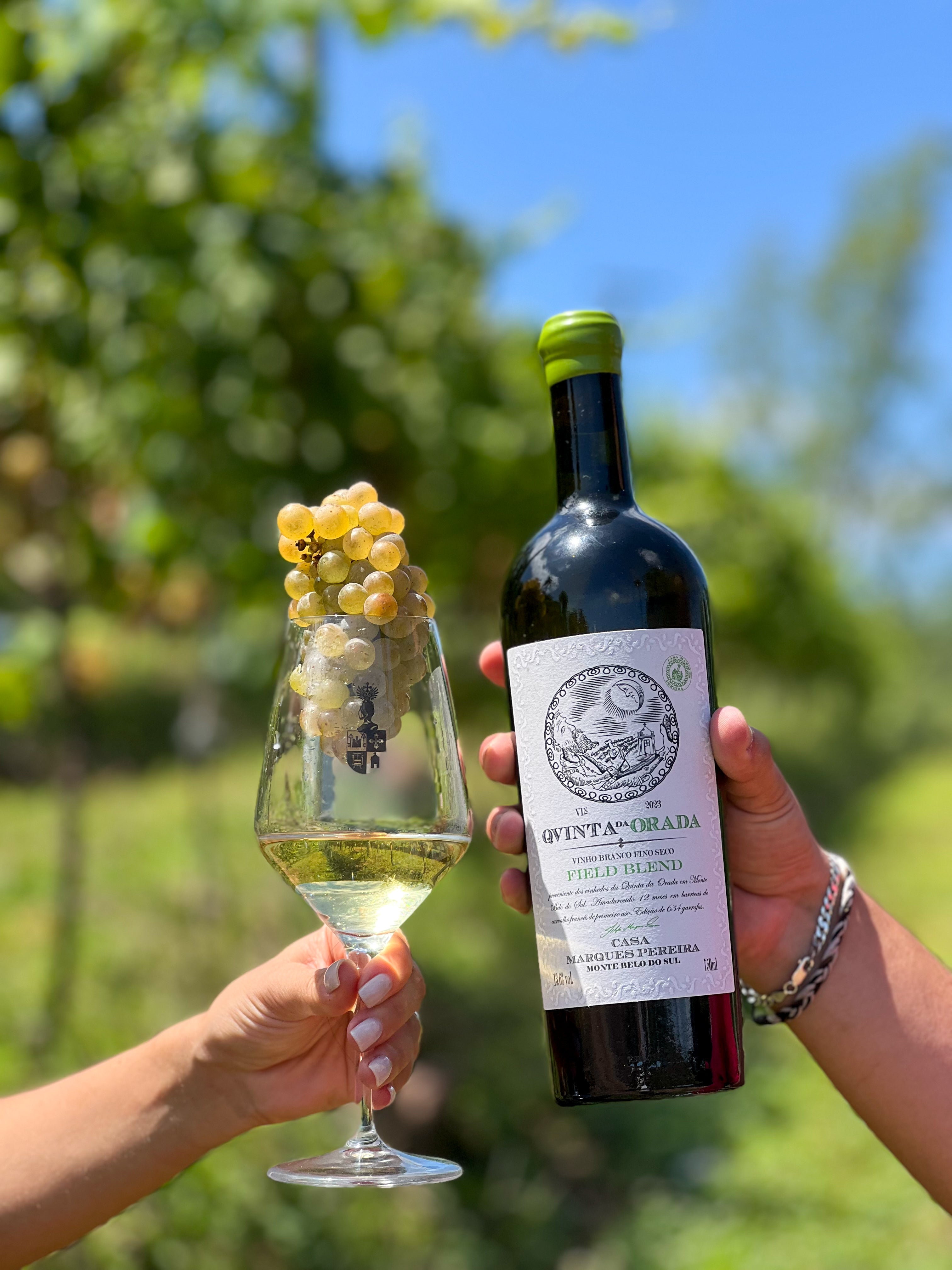 Quinta da Orada Field Blend - Safra 2023 - Black November 10%OFF