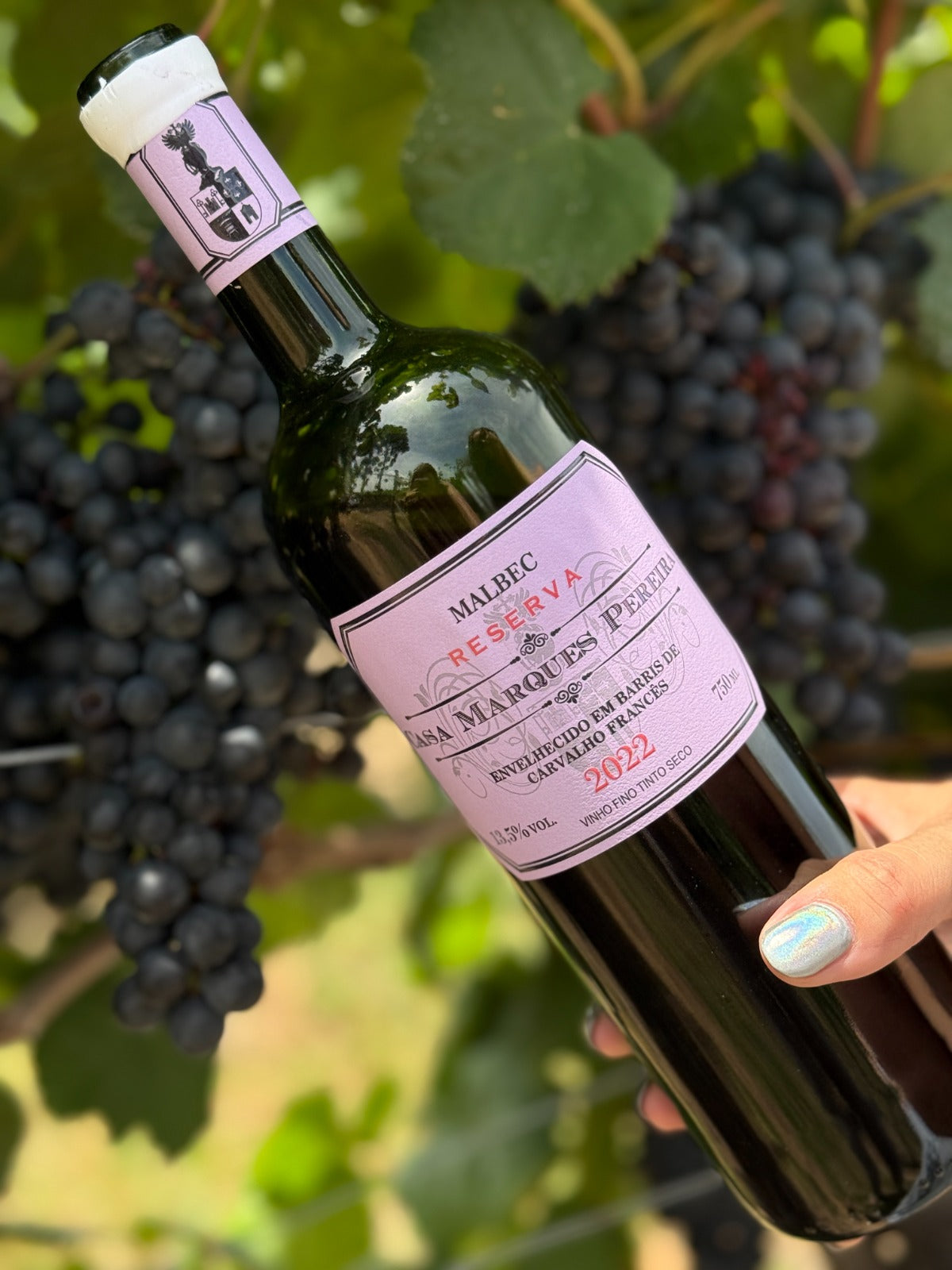 Reserva Malbec - Safra 2022