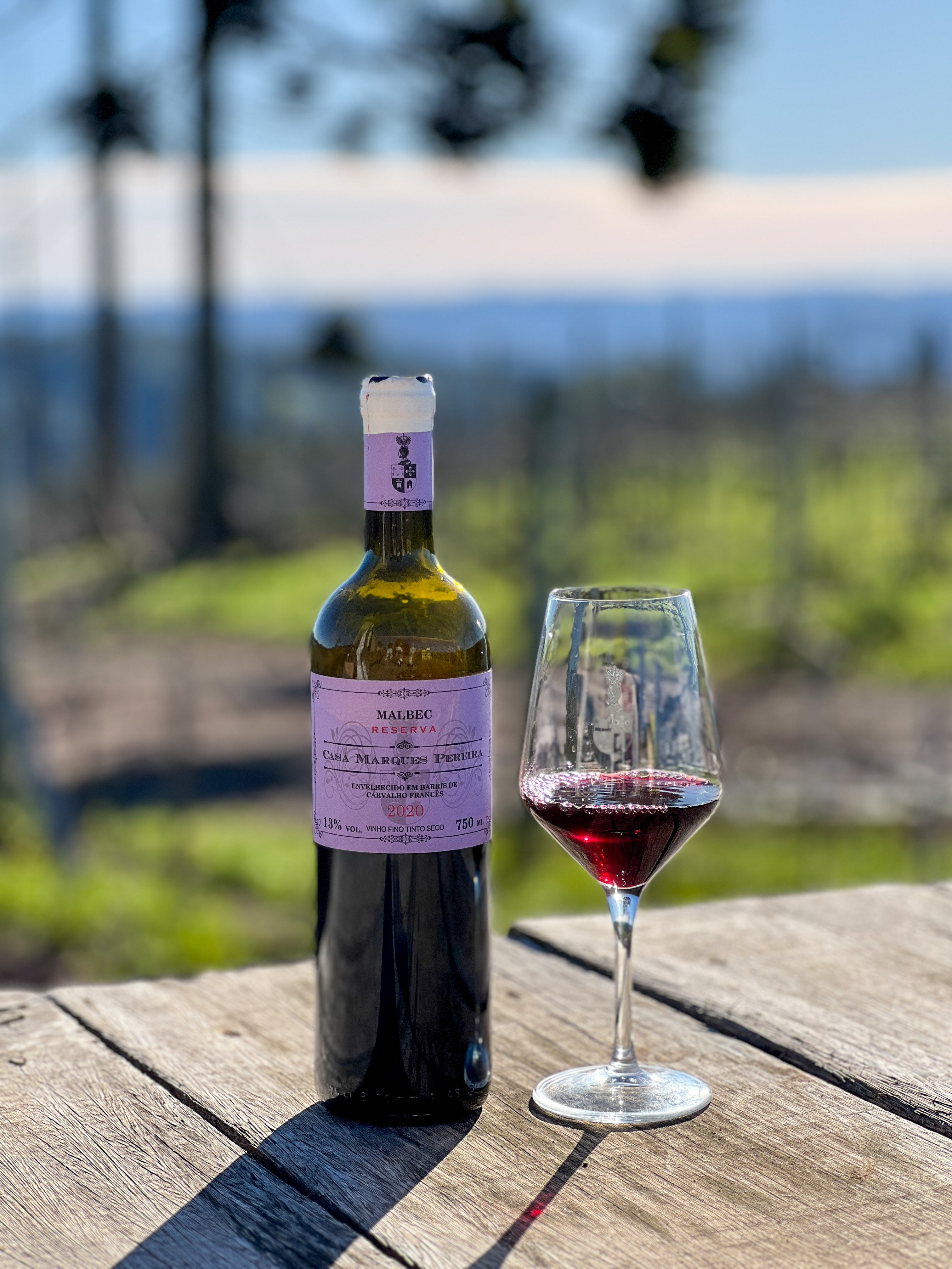 Reserva Malbec - Safra 2020