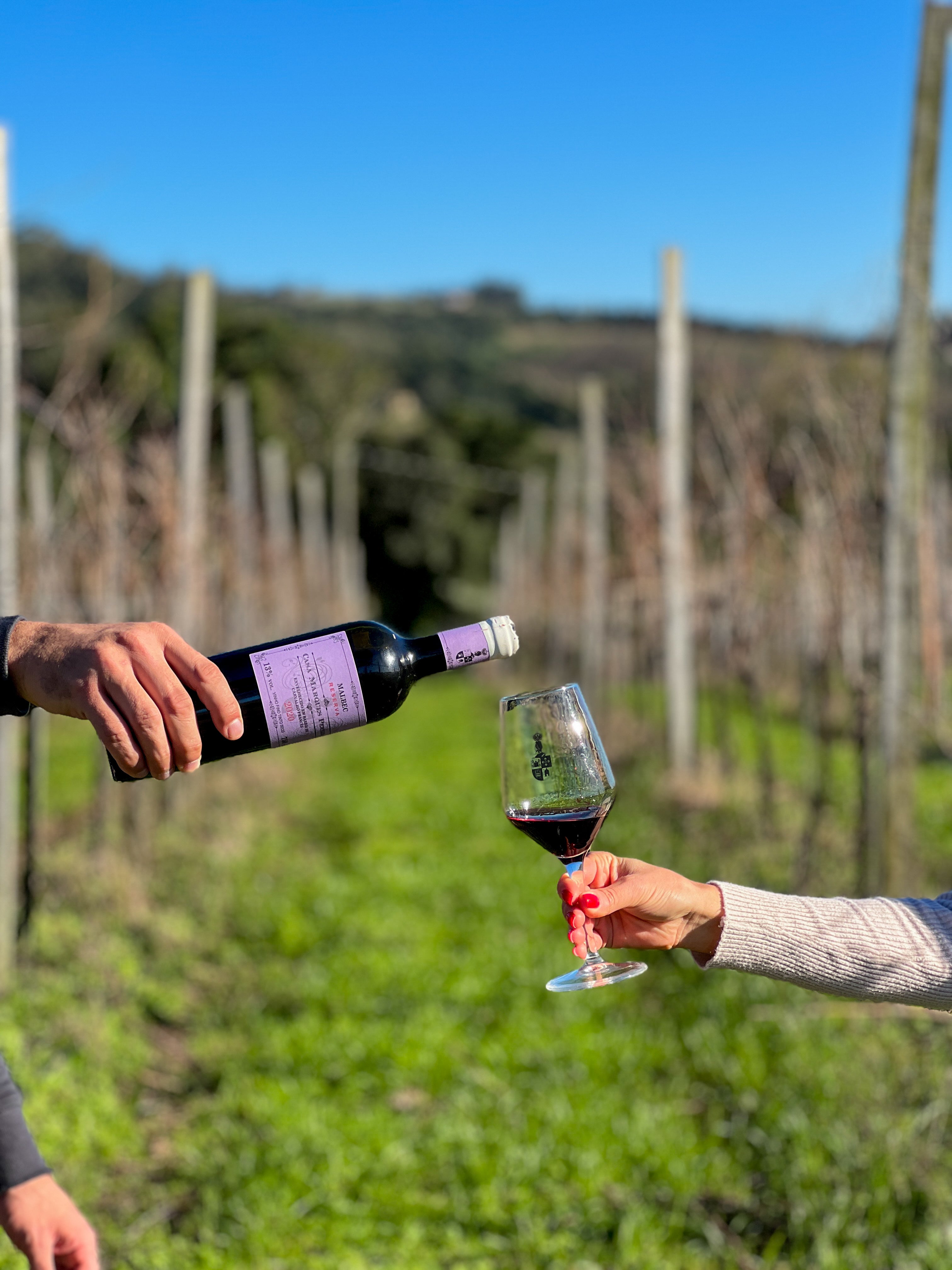 Reserva Malbec - Safra 2020 Black November 20%OFF