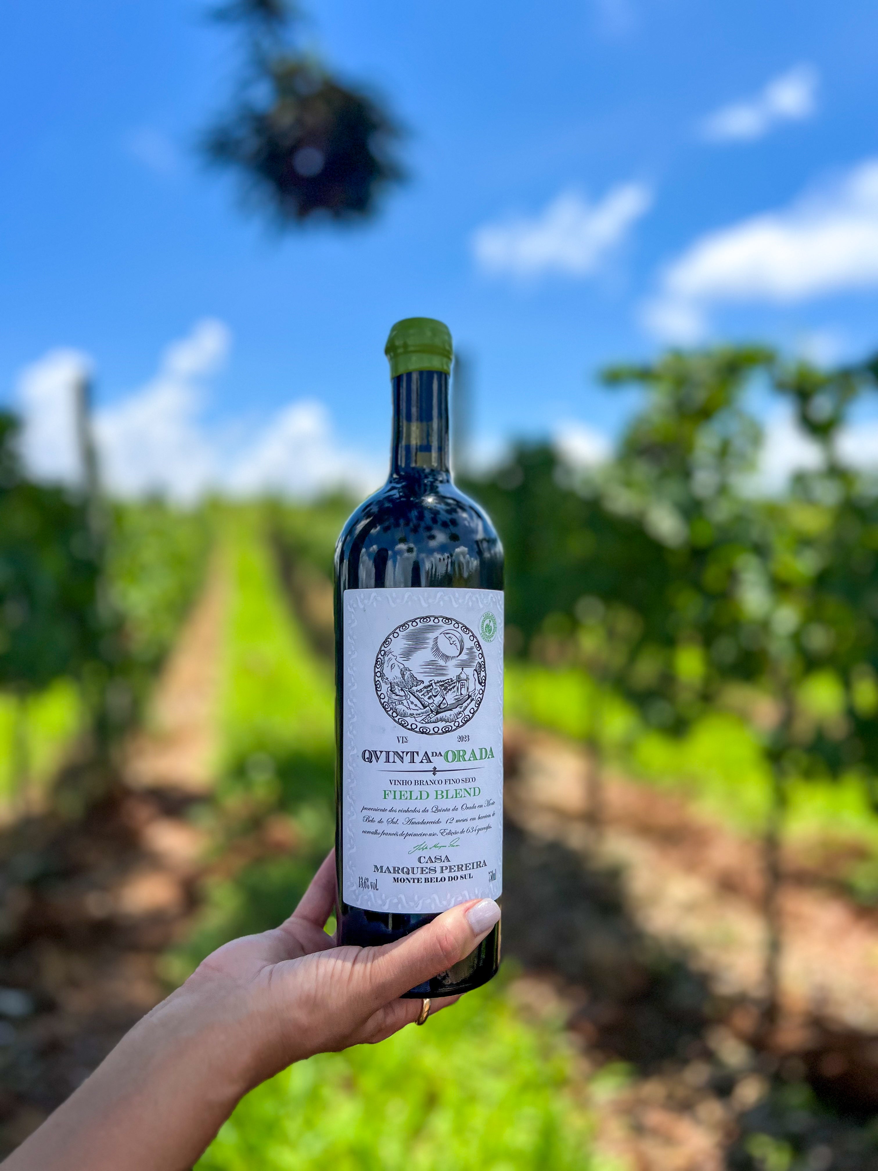 Quinta da Orada Field Blend - 2023 Vintage