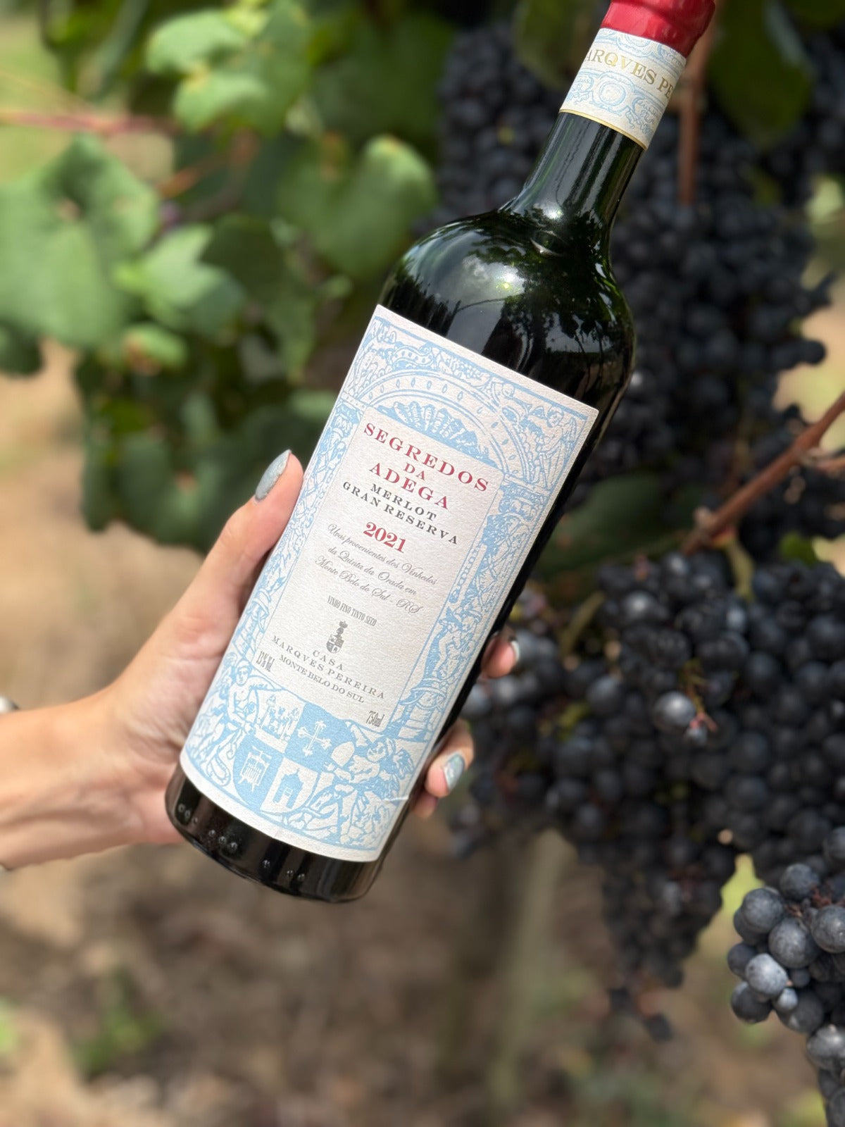 Segredos da Adega Merlot - Safra 2021 - Consumidor 10%OFF