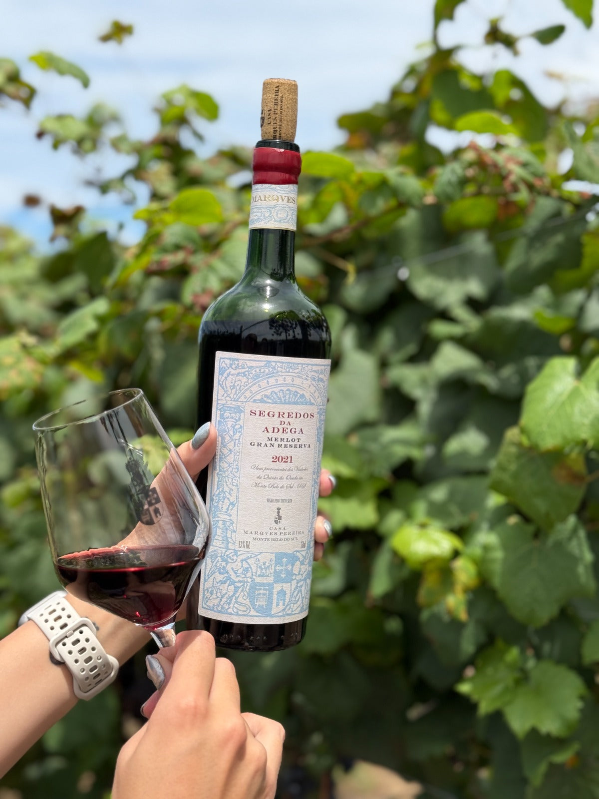 Segredos da Adega Merlot - Safra 2021