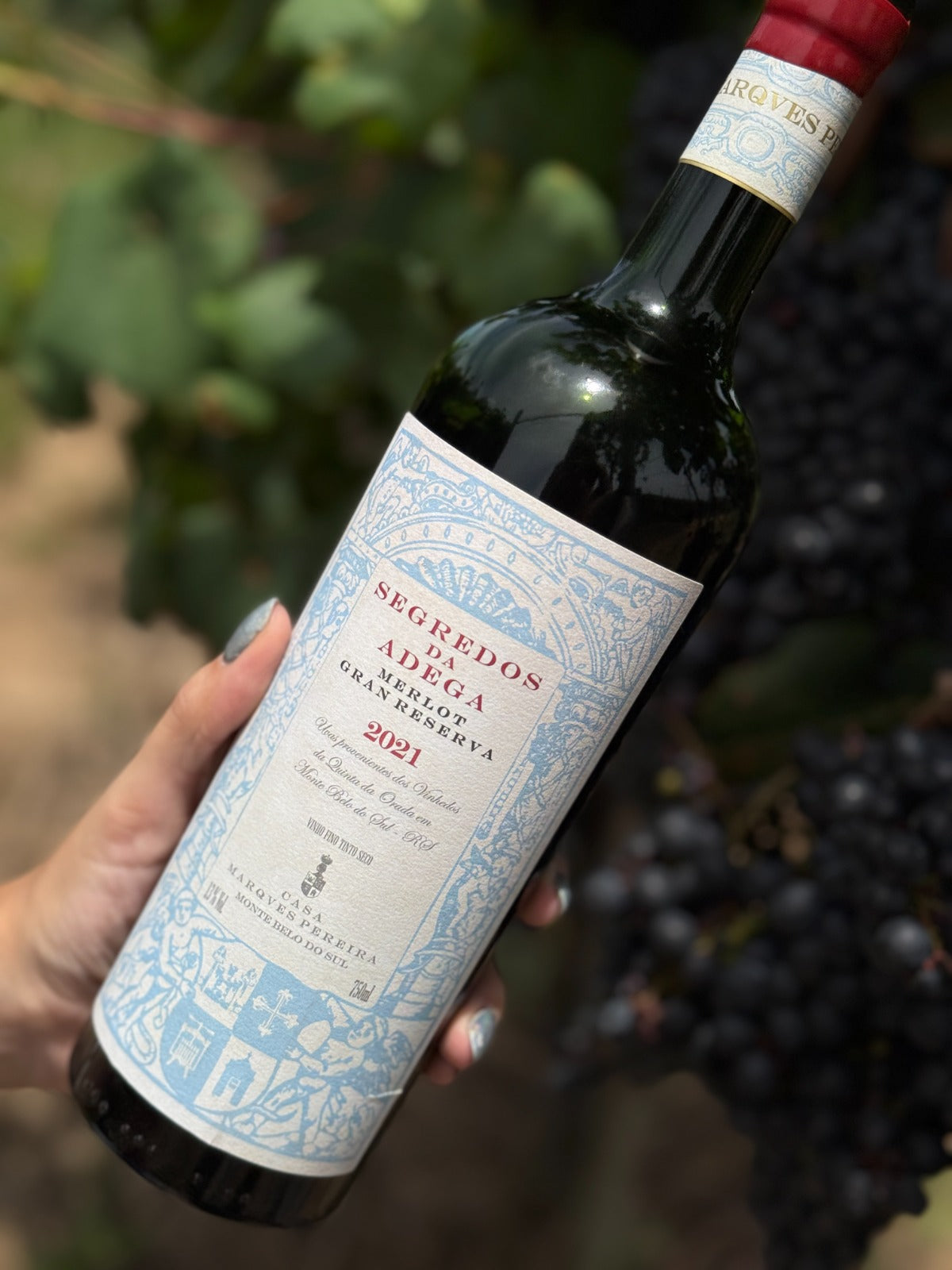 Segredos da Adega Merlot - Safra 2021 - Consumidor 10%OFF