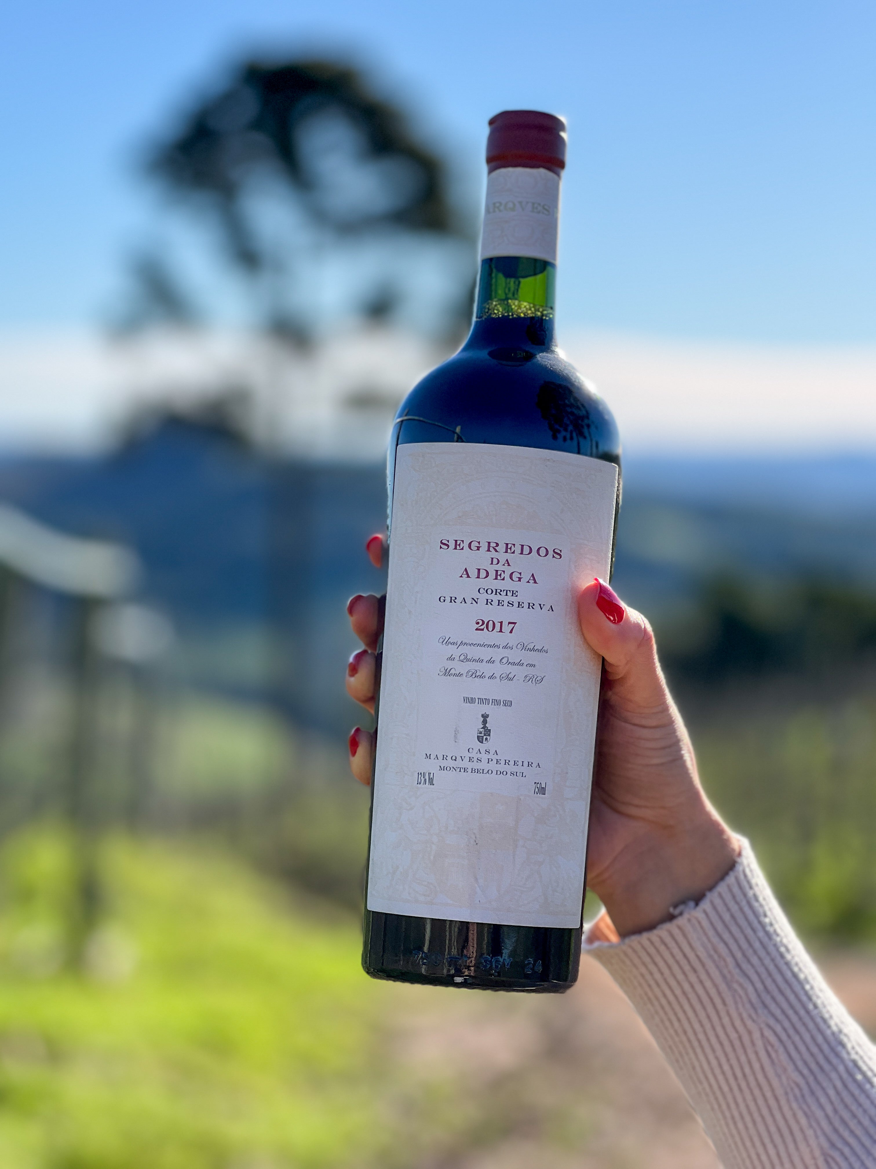 Segredos da Adega Corte - Black November 15%OFF