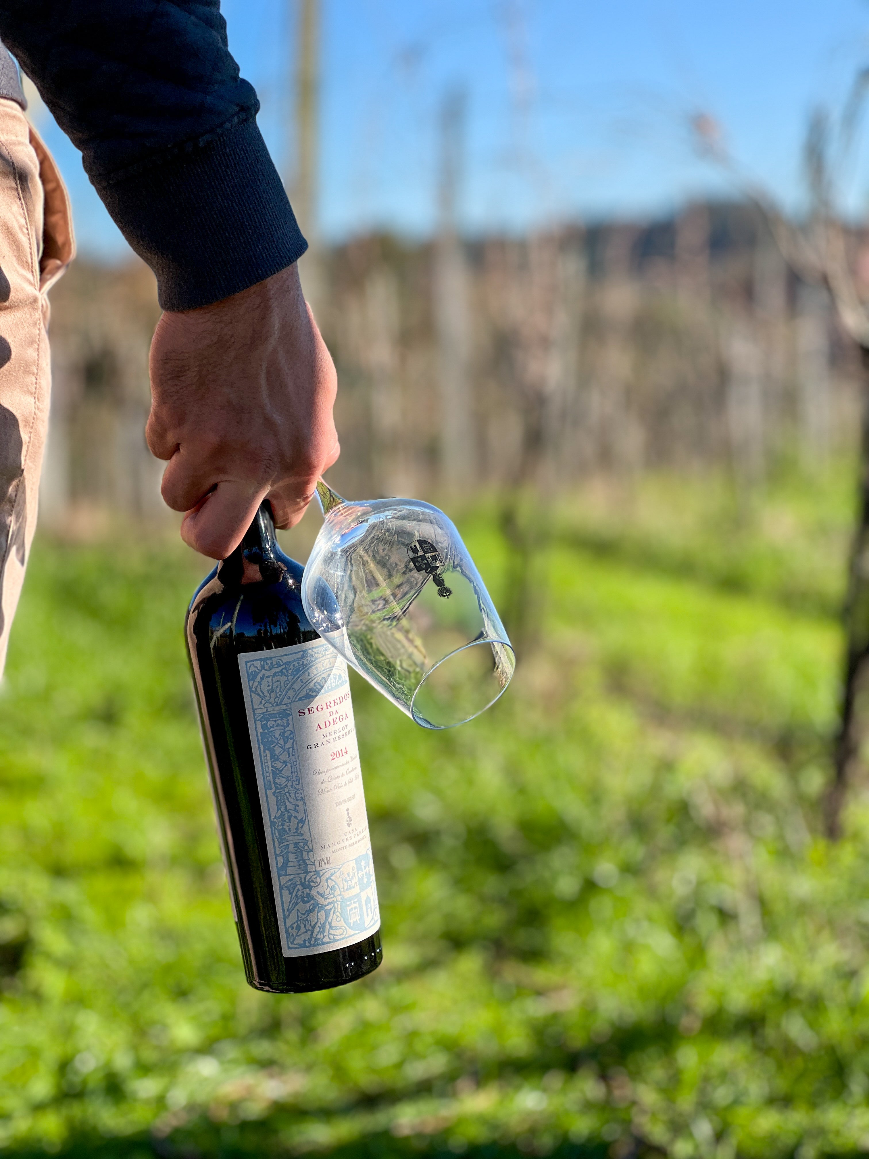 Secrets of the Merlot Winery