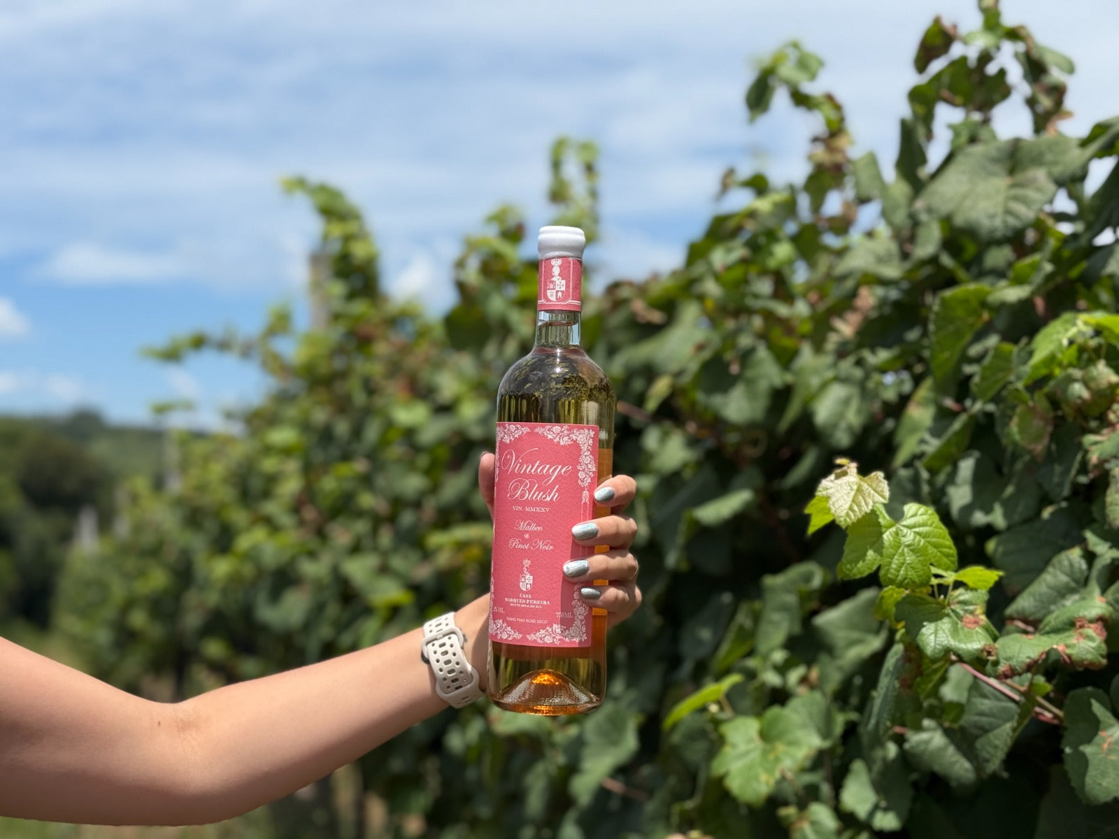 Vintage Blush Rosé - Safra 2025