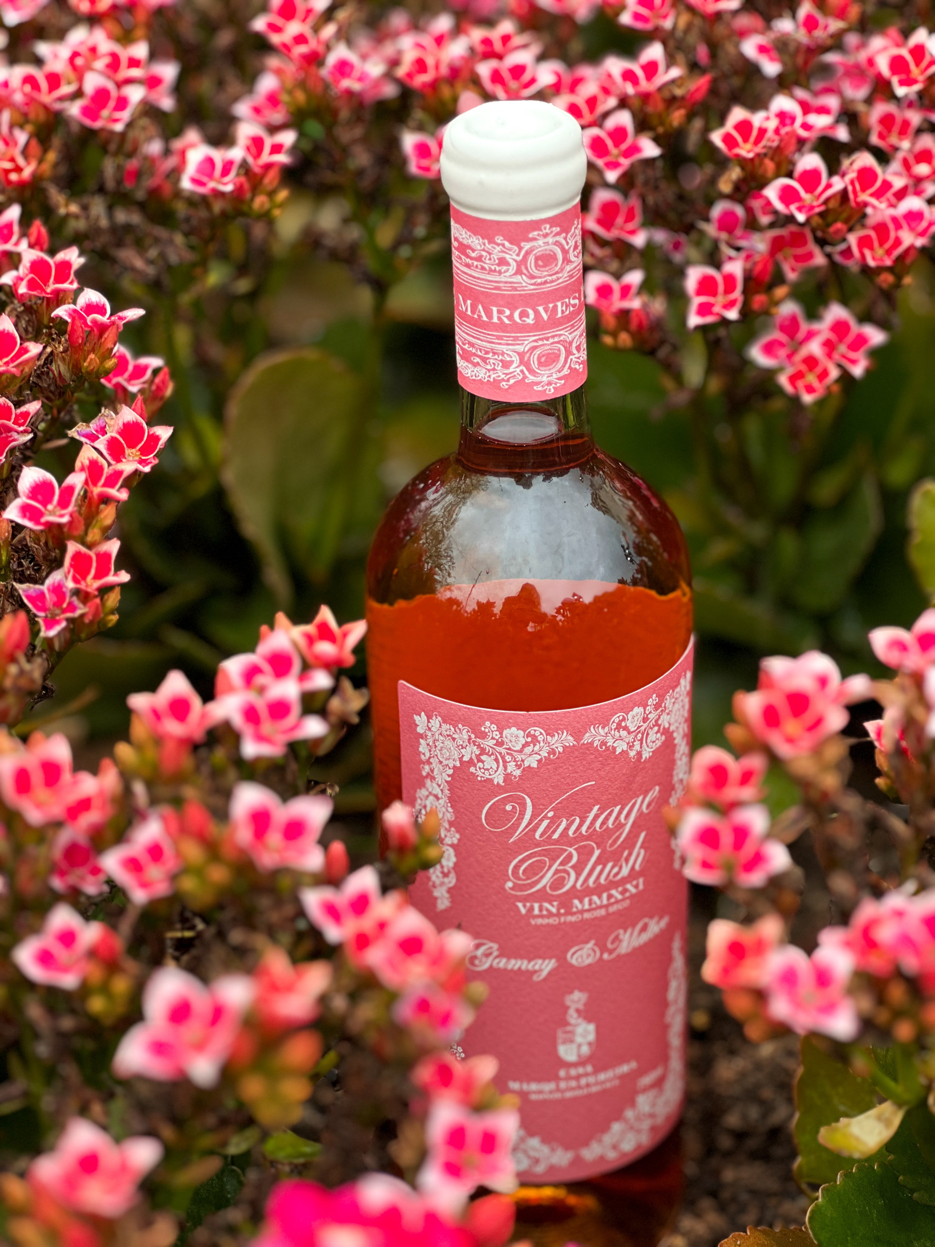 Vinho Casa Marques Pereira Vintage Blush Rosé Gamay e Malbec