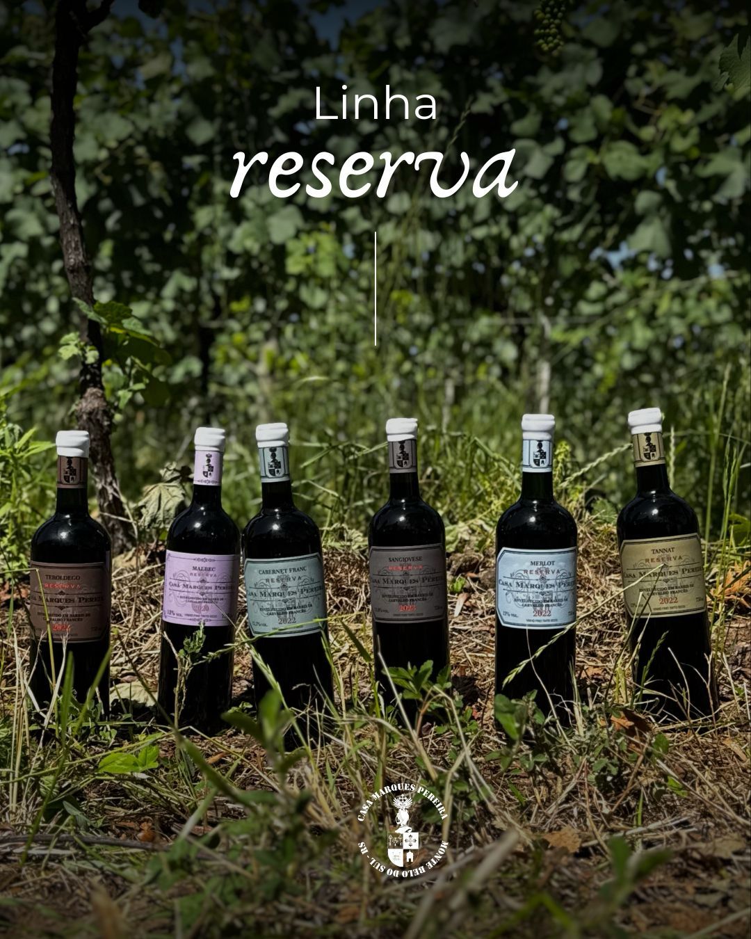 Kit Reserva - 6 tintos