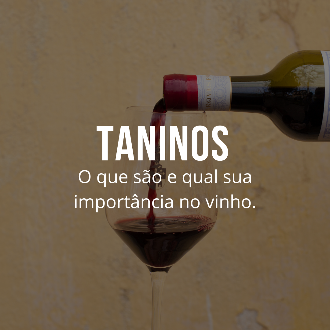 TANINOS: O QUE SÃO E QUAL SUA IMPORTÂNCIA NO VINHO.