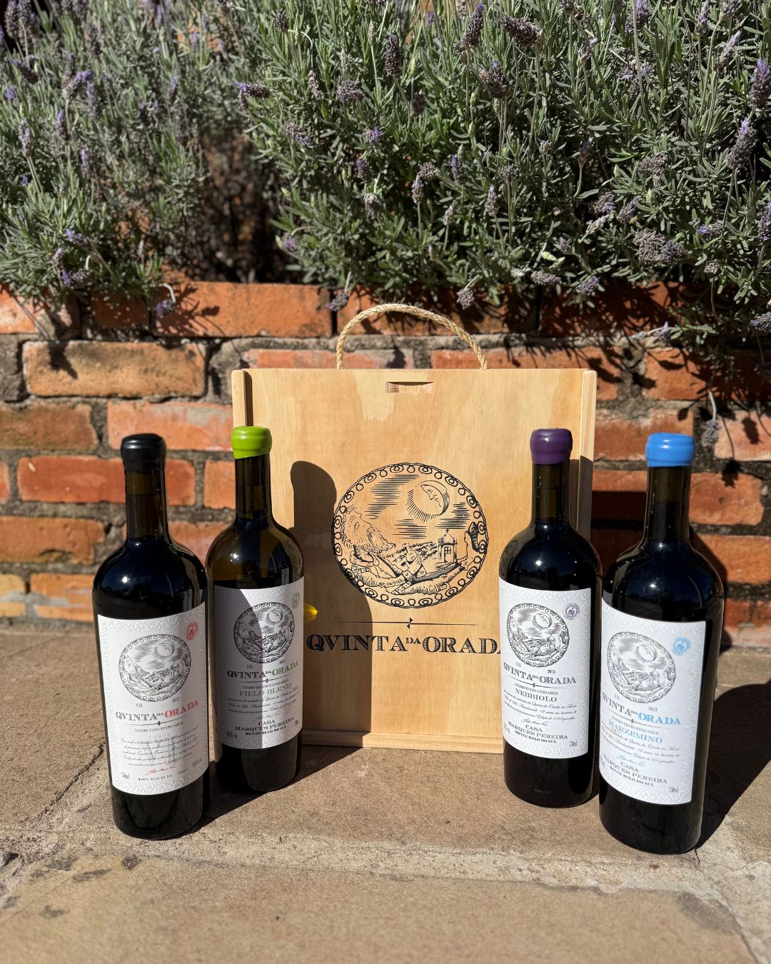 Quinta da Orada Icon Kit - 4 Units with 10% OFF – Black November