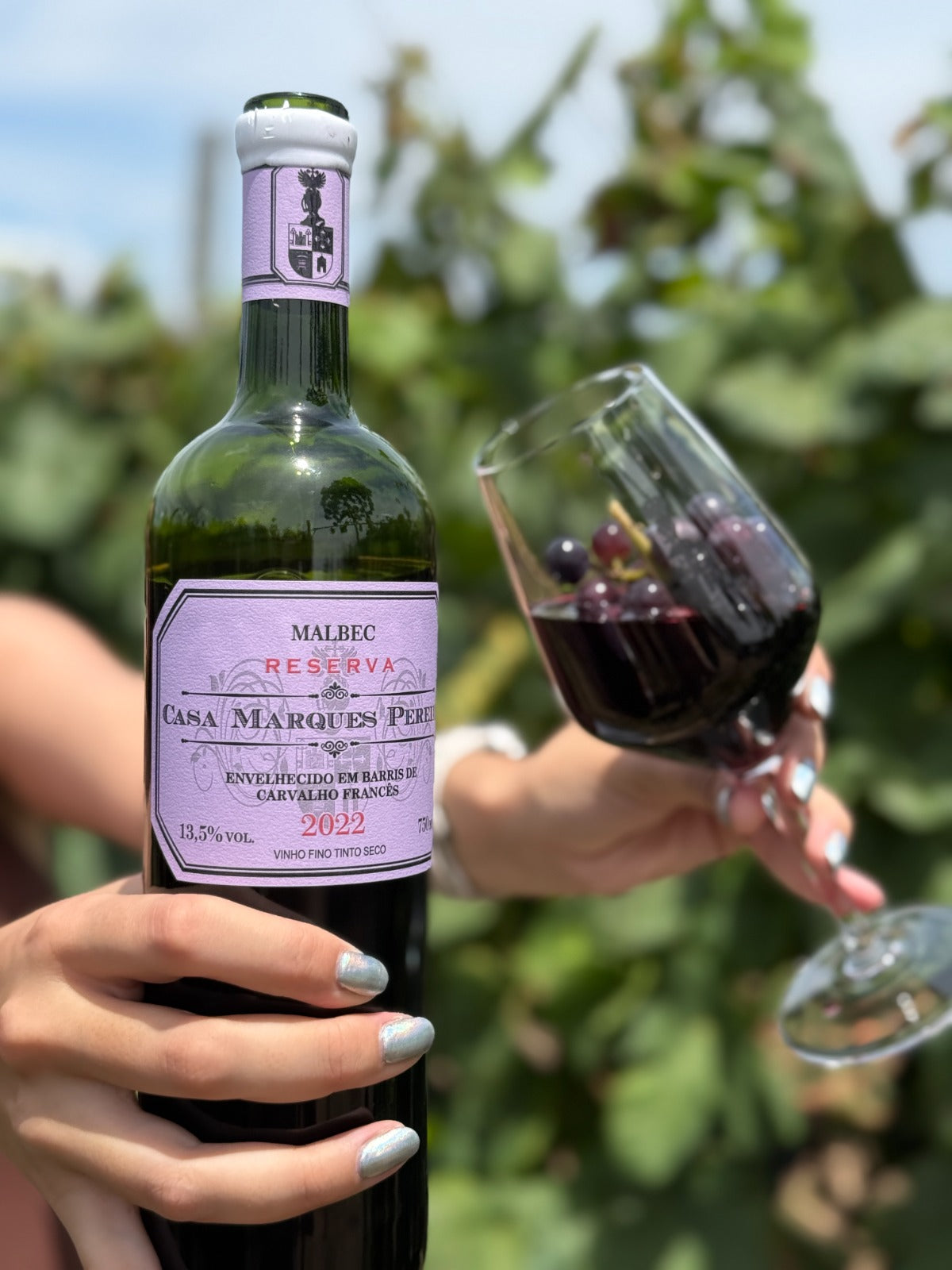 Reserva Malbec - Safra 2022 - Carnaval 12%OFF