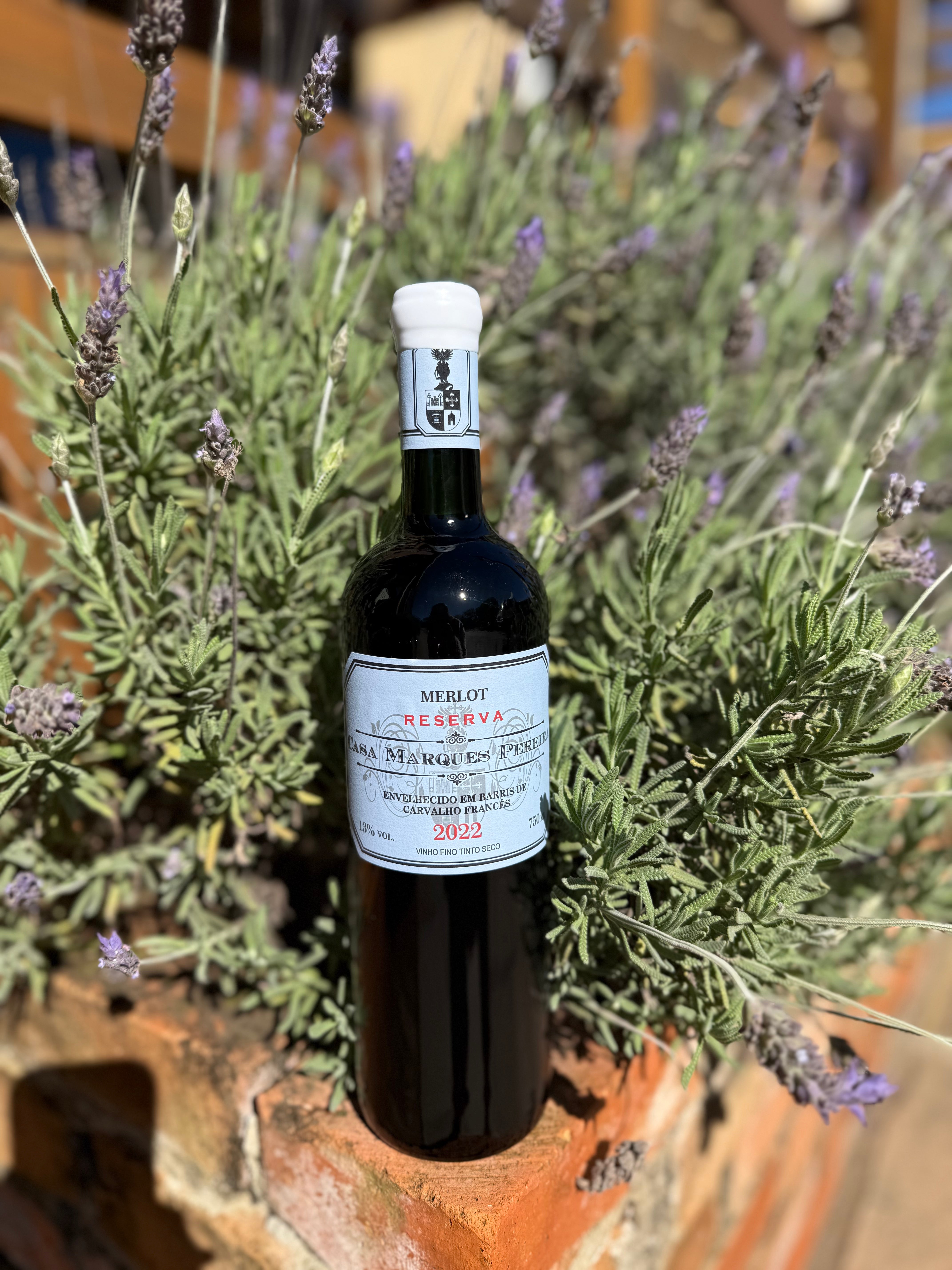 [LANÇAMENTO]  Reserva Merlot - Safra 2022
