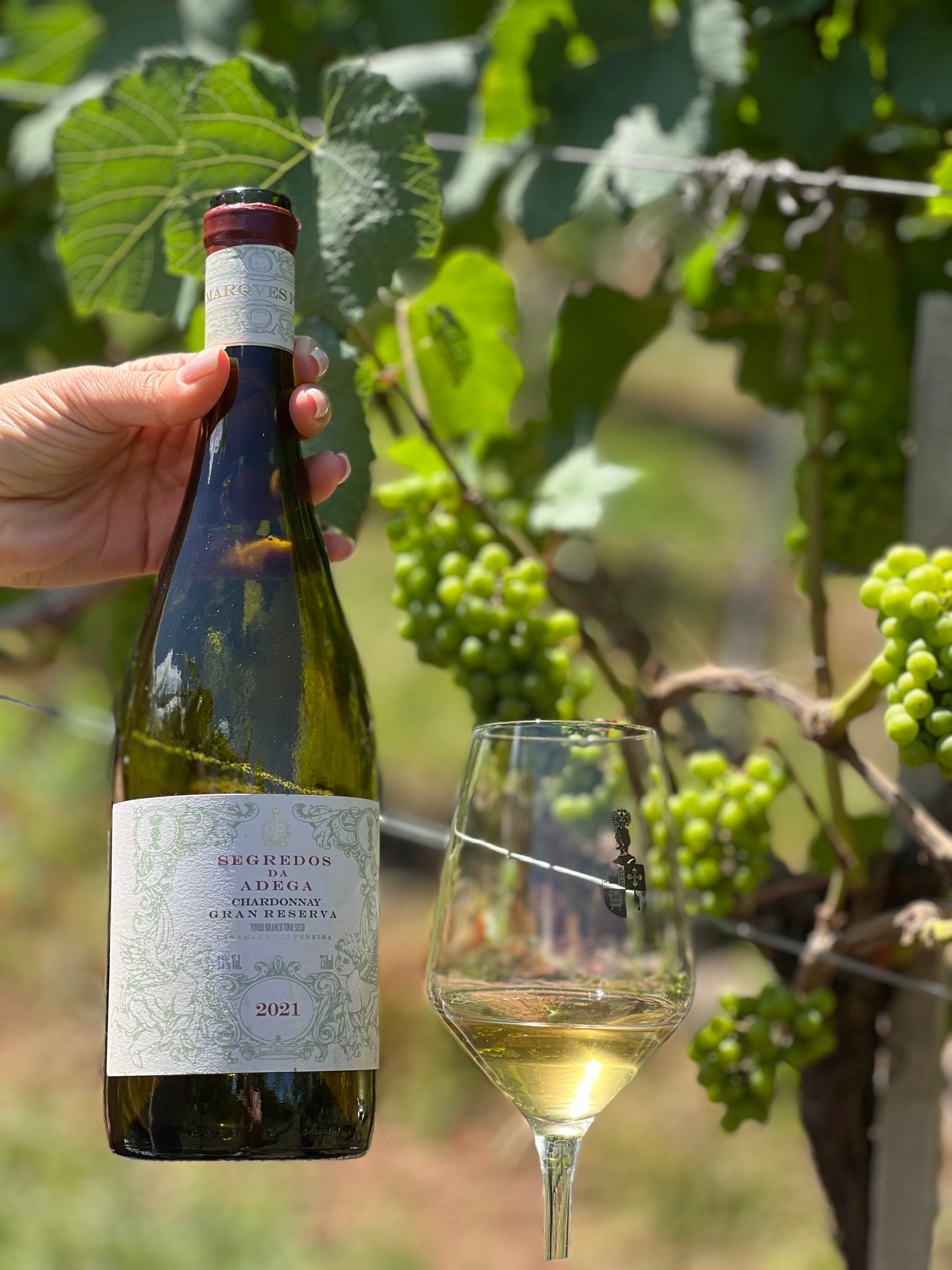 Segredos da Adega Chardonnay - Safra 2021